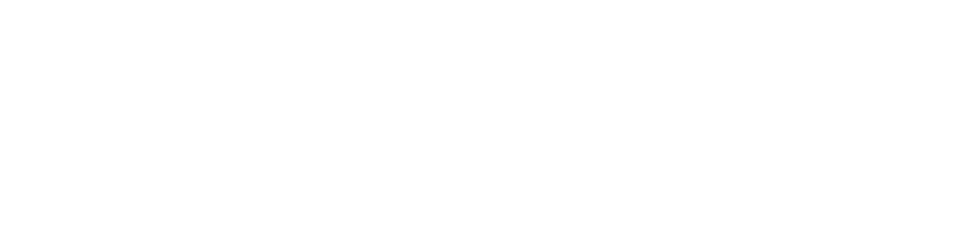 Air Spider Logo